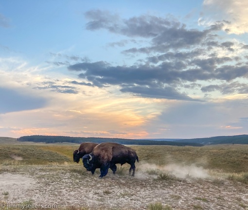 2020-08-Yellowstone-trip-west-iphone-3057