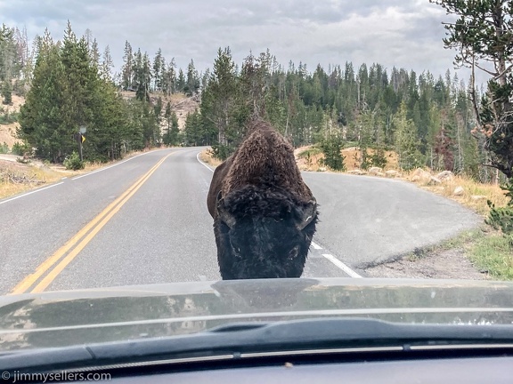 2020-08-Yellowstone-trip-west-iphone-3063