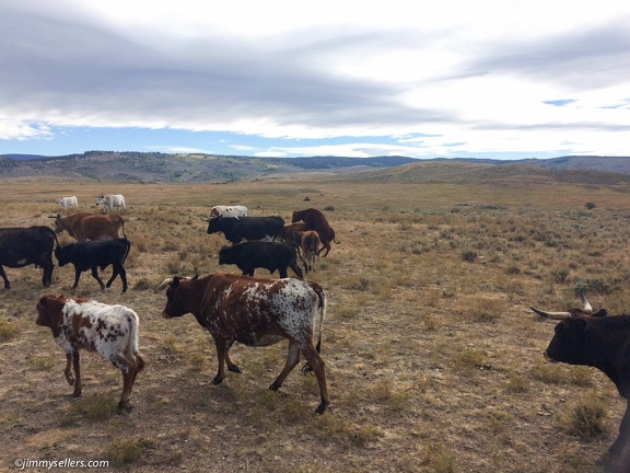 2016-09-Wyoming-from-Tanya-1109