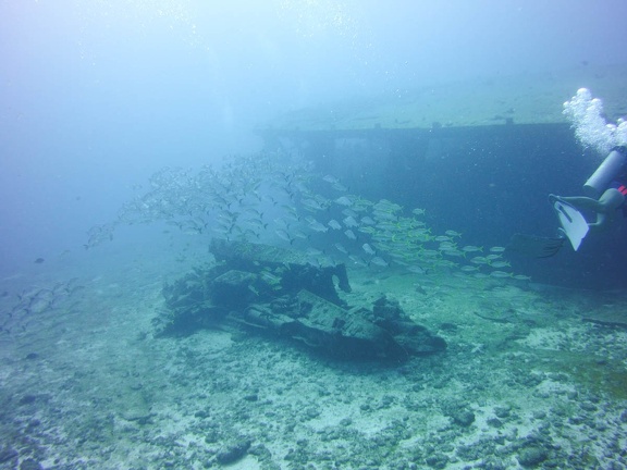 2016-05-Tanya-diving-Mexico-8