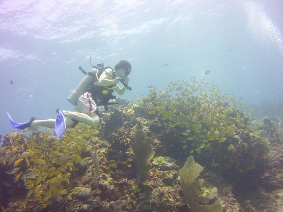 2016-05-Tanya-diving-Mexico-41