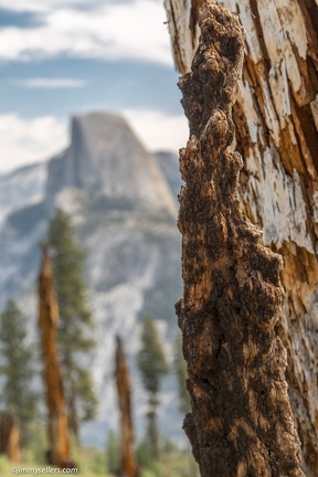 2014-09-Yosemite-129