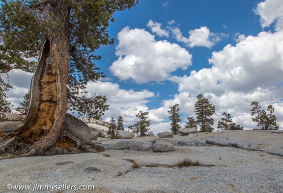 2014-09-Yosemite-539