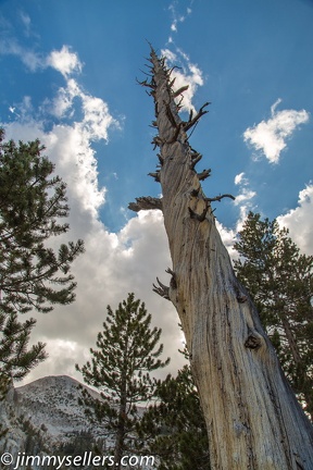 2014-09-Yosemite-574