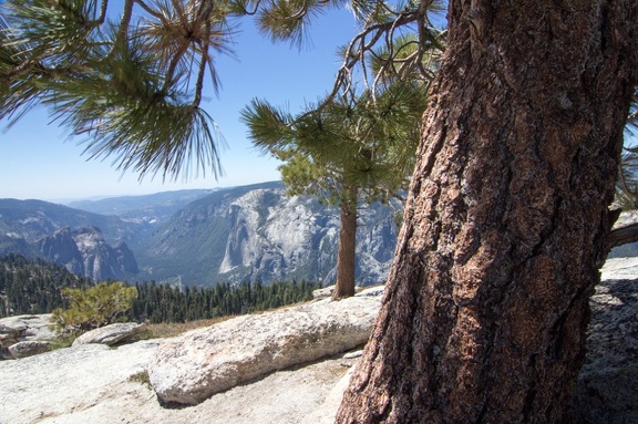 Yosemite-May-2013-238