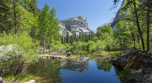 Yosemite-May-2013-966