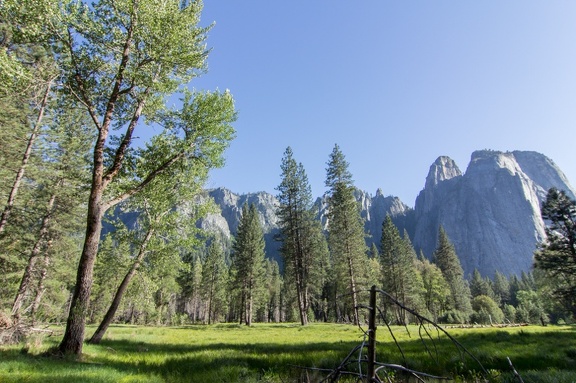 Yosemite-May-2013-1132