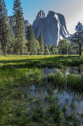 Yosemite-May-2013-1137