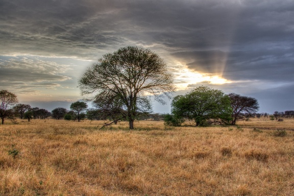 Africa-2013-1597-HDR