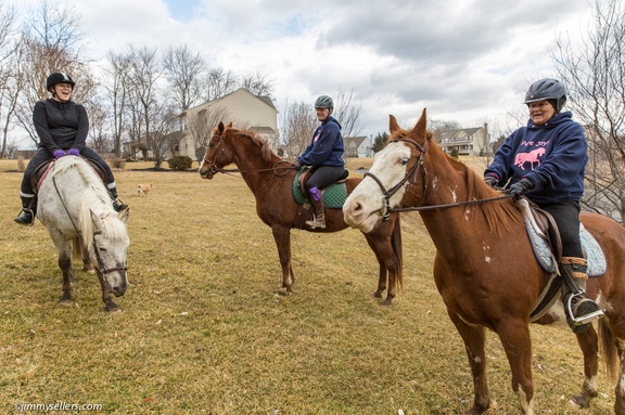 2015-03-15-Tanya-Cinnamon-Horses-17