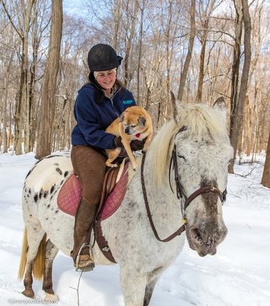 2015-03-08-Tanya-horses-dogs-woods-snow-12