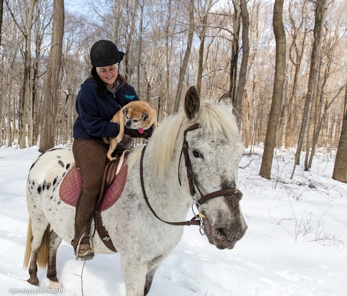 2015-03-08-Tanya-horses-dogs-woods-snow-13