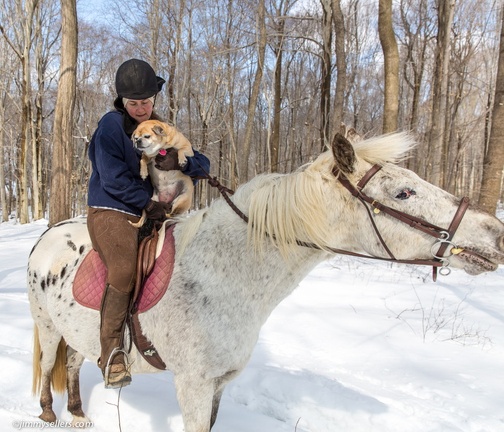 2015-03-08-Tanya-horses-dogs-woods-snow-14