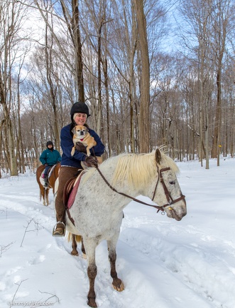 2015-03-08-Tanya-horses-dogs-woods-snow-16