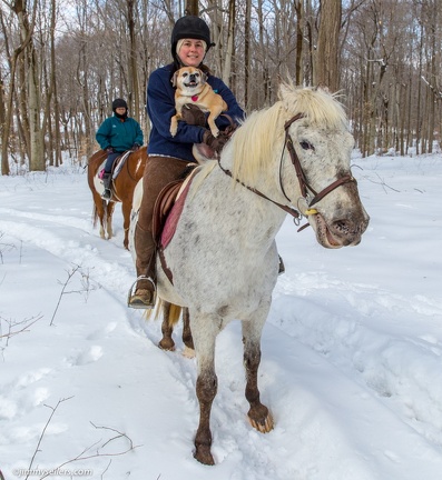 2015-03-08-Tanya-horses-dogs-woods-snow-17