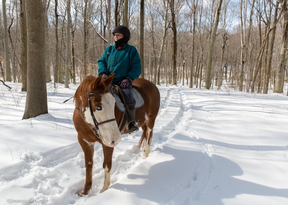 2015-03-08-Tanya-horses-dogs-woods-snow-52