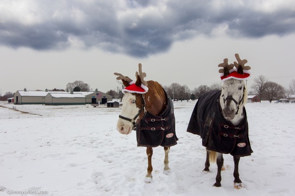 Tanya-Santa-Horses-2013-12-14-edit-with-clouds-2