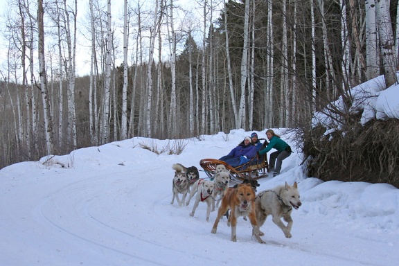 Winter-Carnival-2012-Aspen-Dog-Sled-1