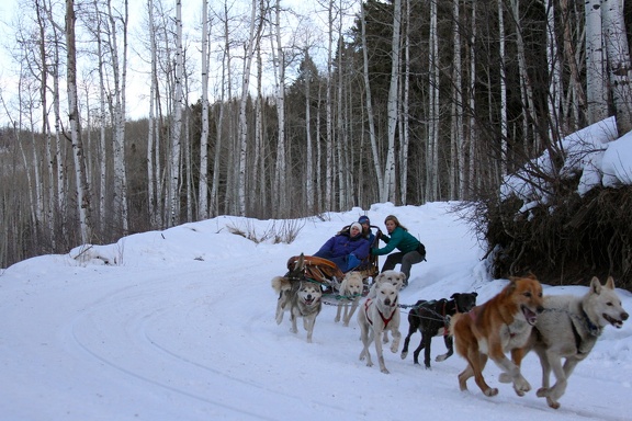 Winter-Carnival-2012-Aspen-Dog-Sled-2